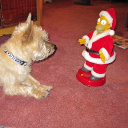 icecoldcakemix's profile picture. 