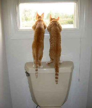 aprodite10's profile picture. 