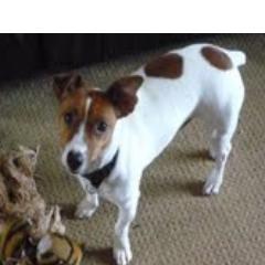 alank1235's profile picture. 