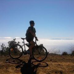 ppindia2's profile picture. 