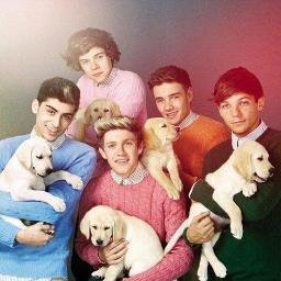 I Love Harry Potter, @onedirection ,The Vampire Diaries,Pretty Little Liars,Doctor Who and How i Met your Mother;) #1DFamily #Potterhead
