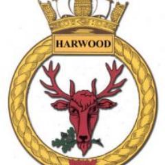 R.C.S.C.C. Harwood is for youth from 12 to 18 who are interested in learning to sail, marksmanship and music within the Royal Canadian Sea Cadet program.