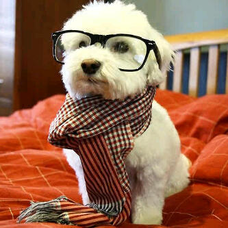 oluwafs's profile picture. Life is Beautiful