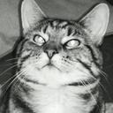 sandra Webb - @sandraWebb20 - Twitter