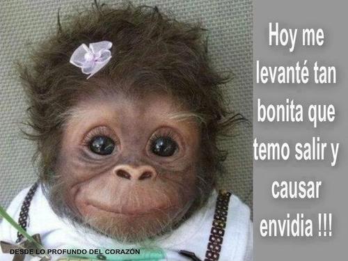 willintoncastil's profile picture. willinton