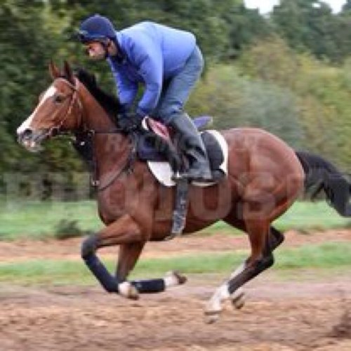 techsolathome's profile picture. To help you with your home technology, from home broadband, digital tv, computers or your mobile phone! Over 20 years experience in telecoms and IT.