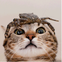 jimgear - @jim_gear - Twitter