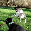 Lance Granger - @LagunaLance - Twitter