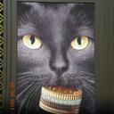 Tiger Matthew - @TigerMatthew2 - Twitter