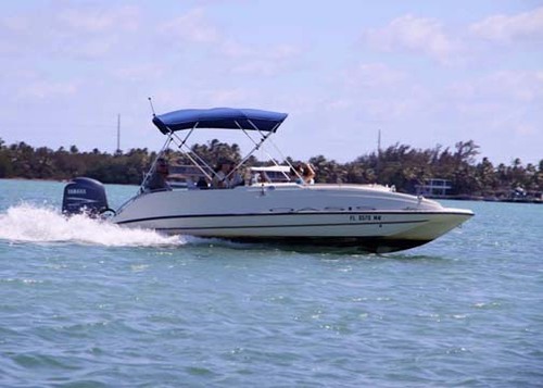 KeyZ Charters is a sightseeing boat Ecotour in Islamorada, the Florida Keys. We see dolphins, manatees, crocodiles, birds and much more! Follow us!