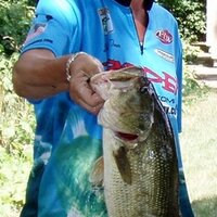 jeri toner (@zipperworm1) 's Twitter Profile