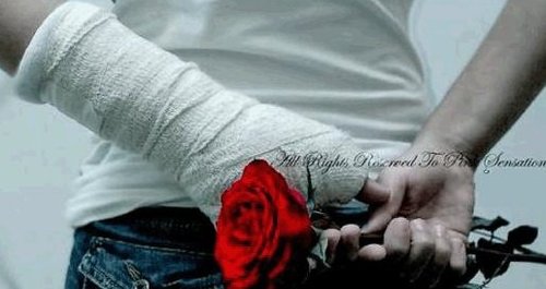 almutasim911's profile picture. 