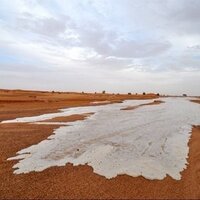 سعيد المهوس (@saeed79493) 's Twitter Profile Photo سعيد المهوس (@saeed79493) 's Twitter Profile Photo