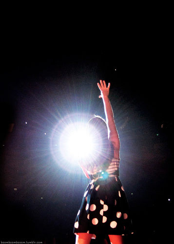dreamer