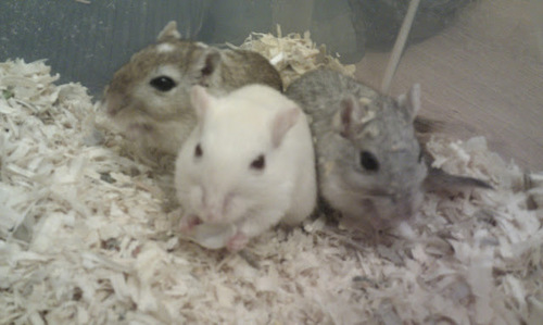 JoLi_666's profile picture. 