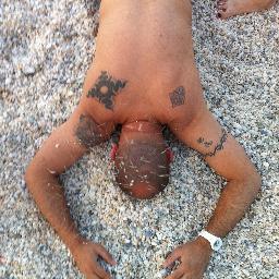 tomasgregory's profile picture. Plantando rosas sobre césped artificial.