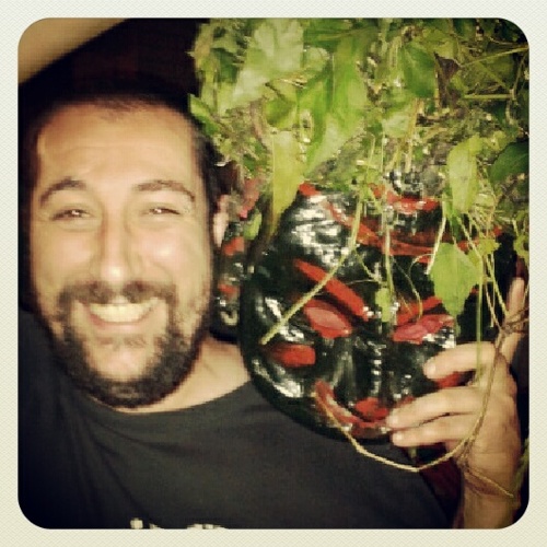 davidbuixeda's profile picture. 