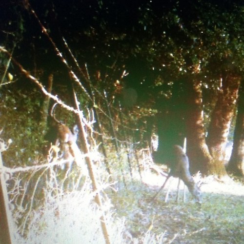 If you like hunting fishing or the outdoors follow us.