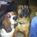 Teresa Hernando - @HoTruKim - Twitter