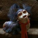 Rowan Sheppard - @Rowans137 - Twitter