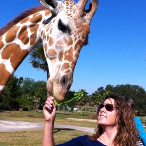 Hails from the City of Champions!! Account Manager for KooL 101.5 by day, alseep by night. I drag my husband on strange adventures to pet strange animals!