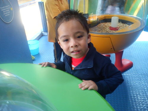 alismugt's profile picture. 