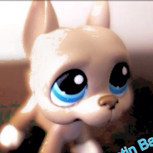 xXJustinKillXx's profile picture. •Yo! I'm Justin Balcita Certainly a new student/football player at OCD! I'm clearly a nice guy. [RP] I'm 16 years old and a VERY awkward/Random PERSON! WOOO!!!!