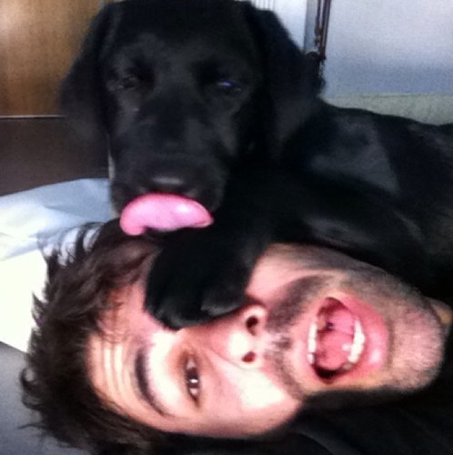 daivo82's profile picture. 