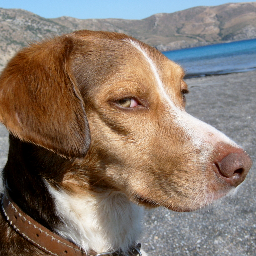 duzos2000's profile picture. 