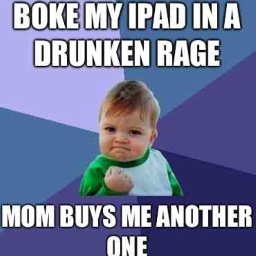 Whatever, I'll just buy another one