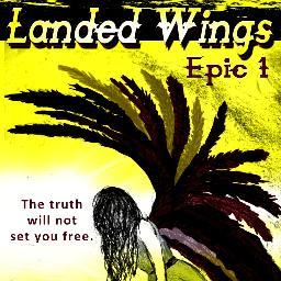 My name is Skylhur and I am a 16 year old junior at my local Early College High School.  LANDED WINGS is my debut novel.