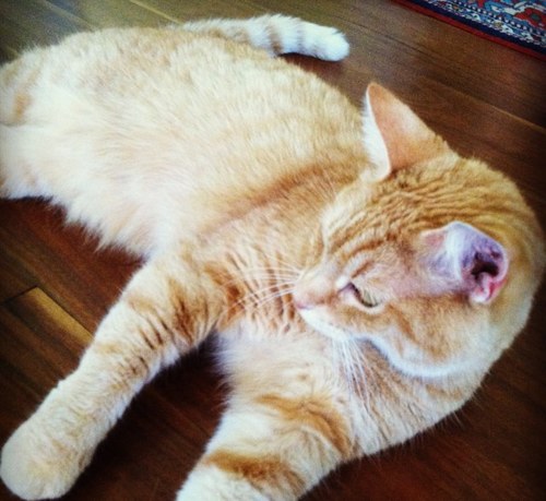 jamesmcettrick's profile picture. 