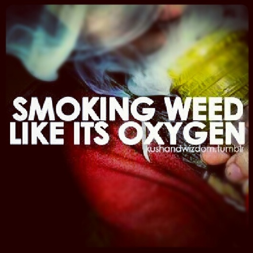 BluntSmokinFein's profile picture. All We Do Is Blow Tree