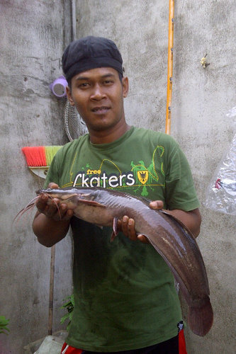 Salam Damai
