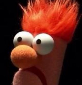 dstein71's profile picture. 