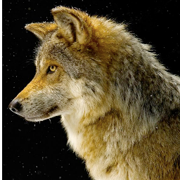 jjuricevich's profile picture. architect at olson kundig. mainly talking about basketball, sometimes music and rarely architecture. recent convert to fpl.