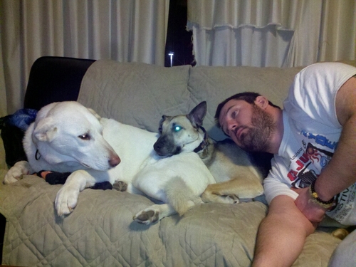 I choose to let my dog define me. she's a pretty girl.... is that weird?