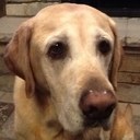 Connor Ray Dulak - @ConnorD18 - Twitter