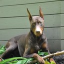 Tami Irwin Sherman - @ShermanTami - Twitter