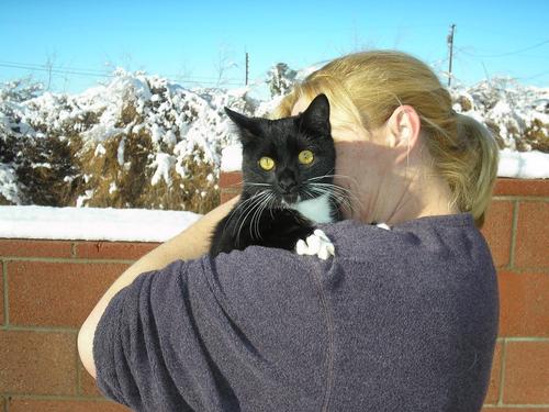 annevinny's profile picture. Mother, teacher, cat lover...