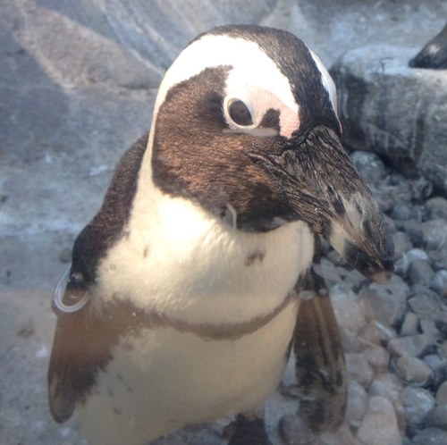 jessejdavis's profile picture. 