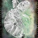 Seth Heller - @umbrashi - Twitter