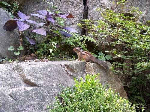 gb00451's profile picture. 