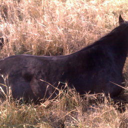 momatheart1's profile picture. 