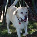 alan dempsey - @wakanui - Twitter