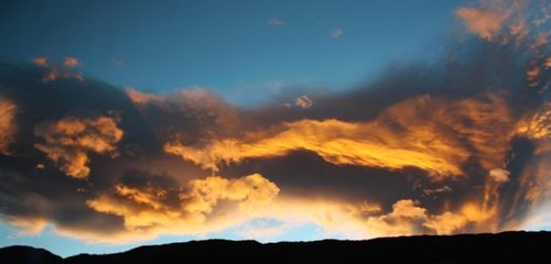 arvinliao's profile picture. 