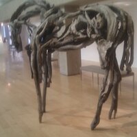 david cleary (@dpcleary) 's Twitter Profile