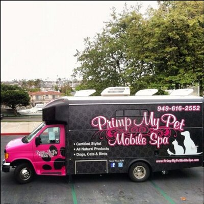 Mobile spa store for dogs