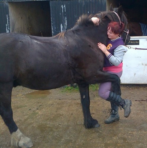Bailey&Stephen❤
Horses jojo