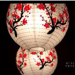 PaceaInimii's profile picture. 